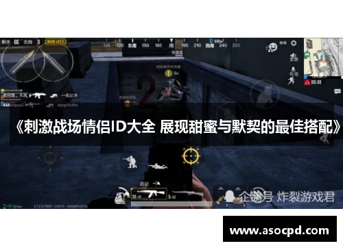 《刺激战场情侣ID大全 展现甜蜜与默契的最佳搭配》