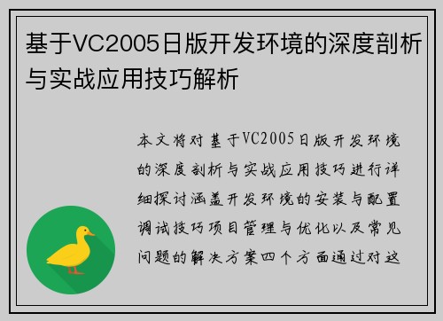 基于VC2005日版开发环境的深度剖析与实战应用技巧解析
